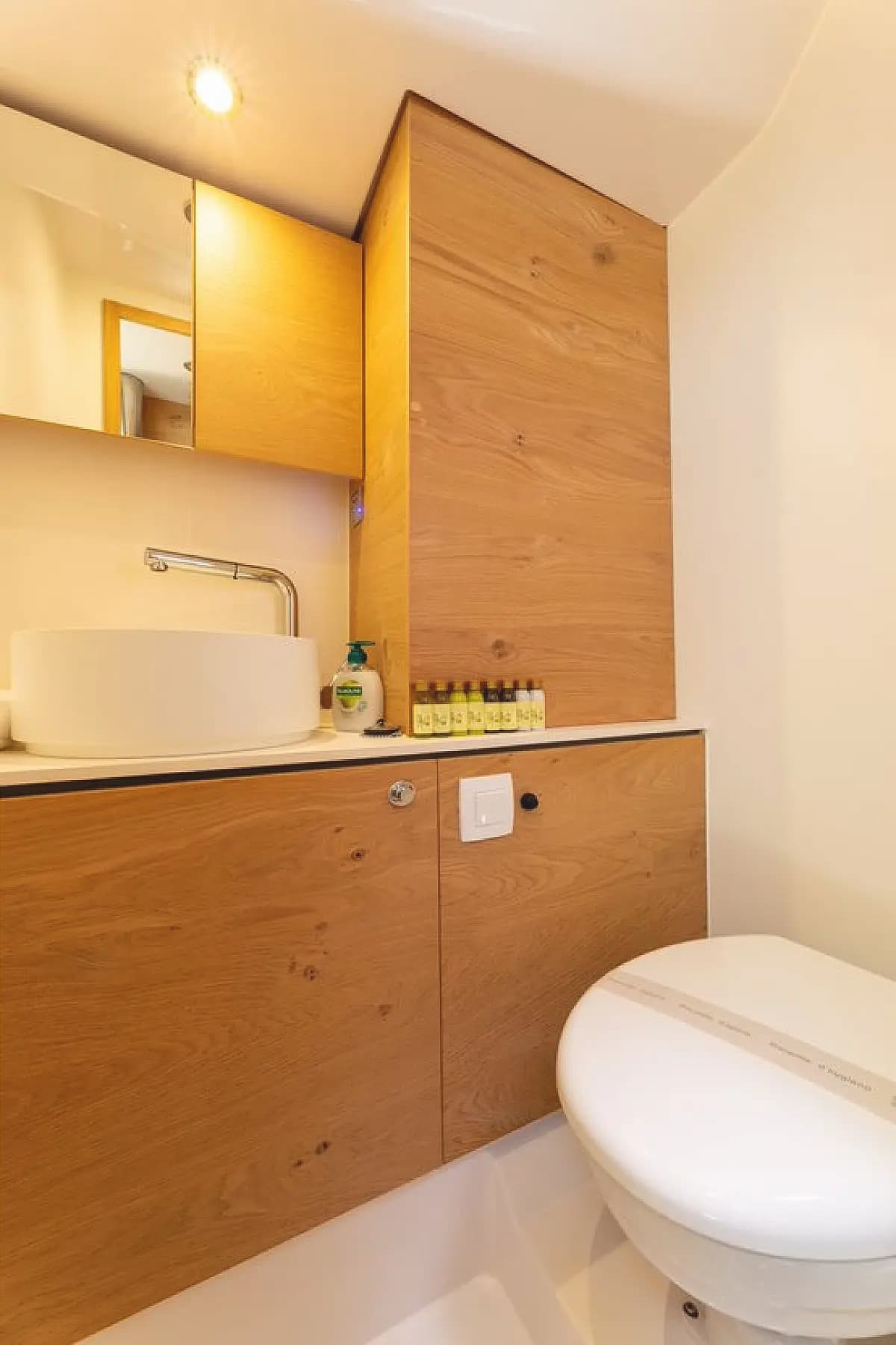 Elan Impression 45 - photo 13