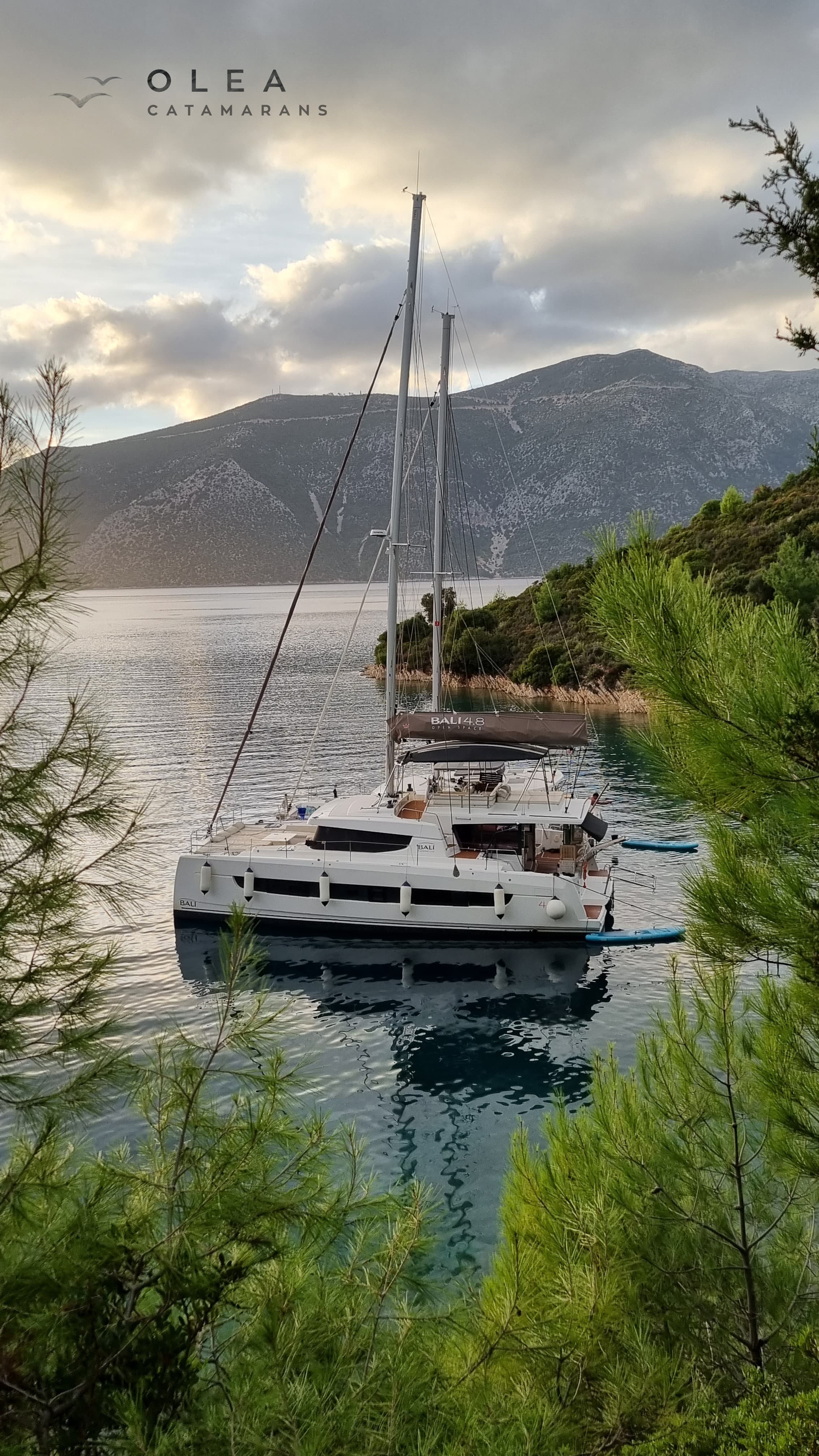 Bali 4.8  - photo 15