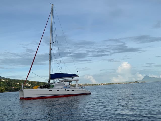 Leopard 43 - photo 7