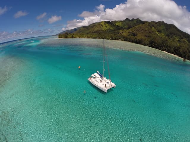 Leopard 43 - photo 8