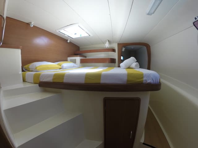 Leopard 43 - photo 5