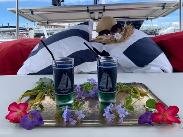 Lagoon Power 43 - photo 6