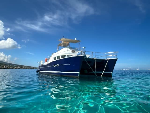 Lagoon Power 43 - photo 10