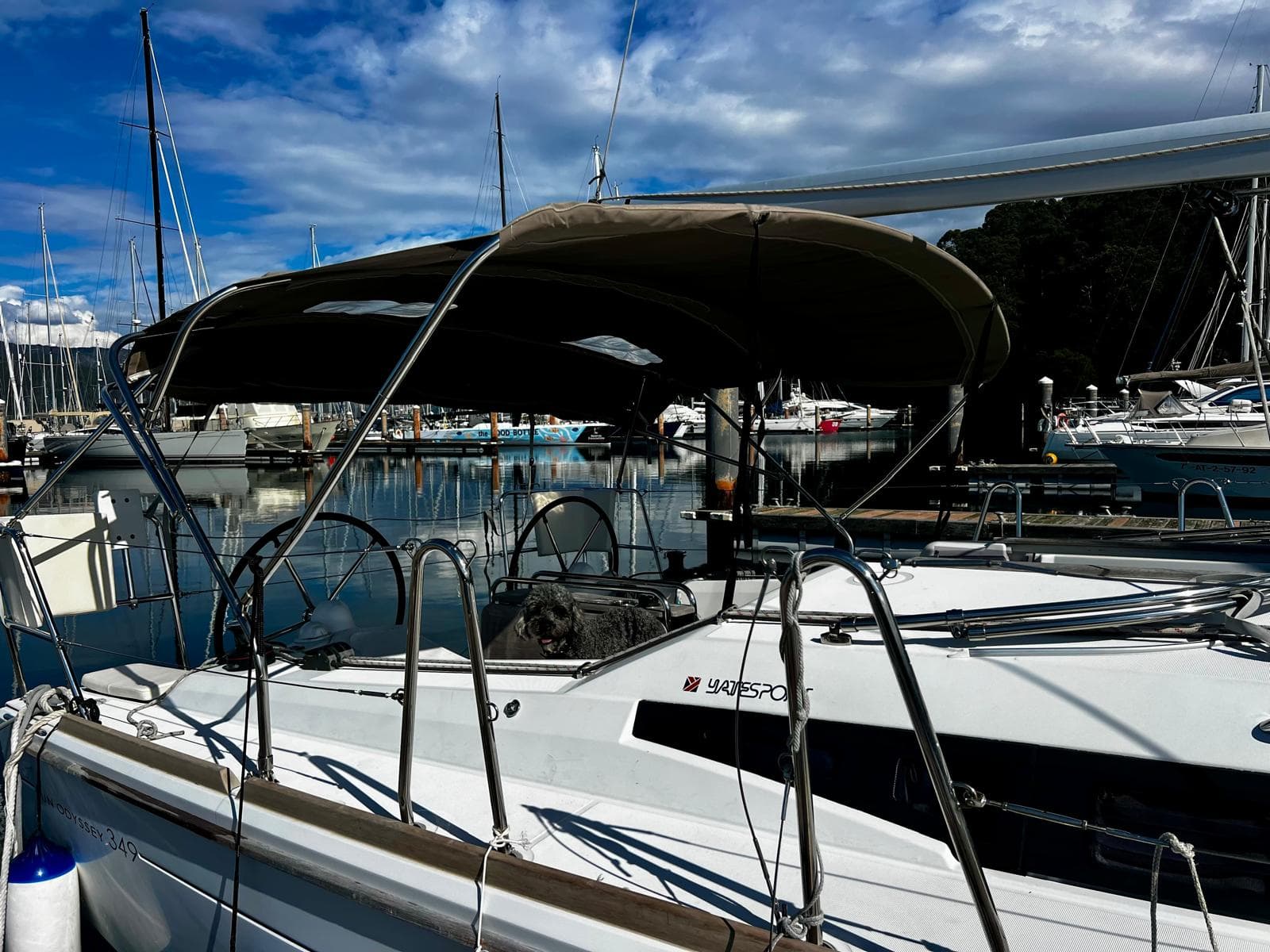 Sun Odyssey 349 - photo 4