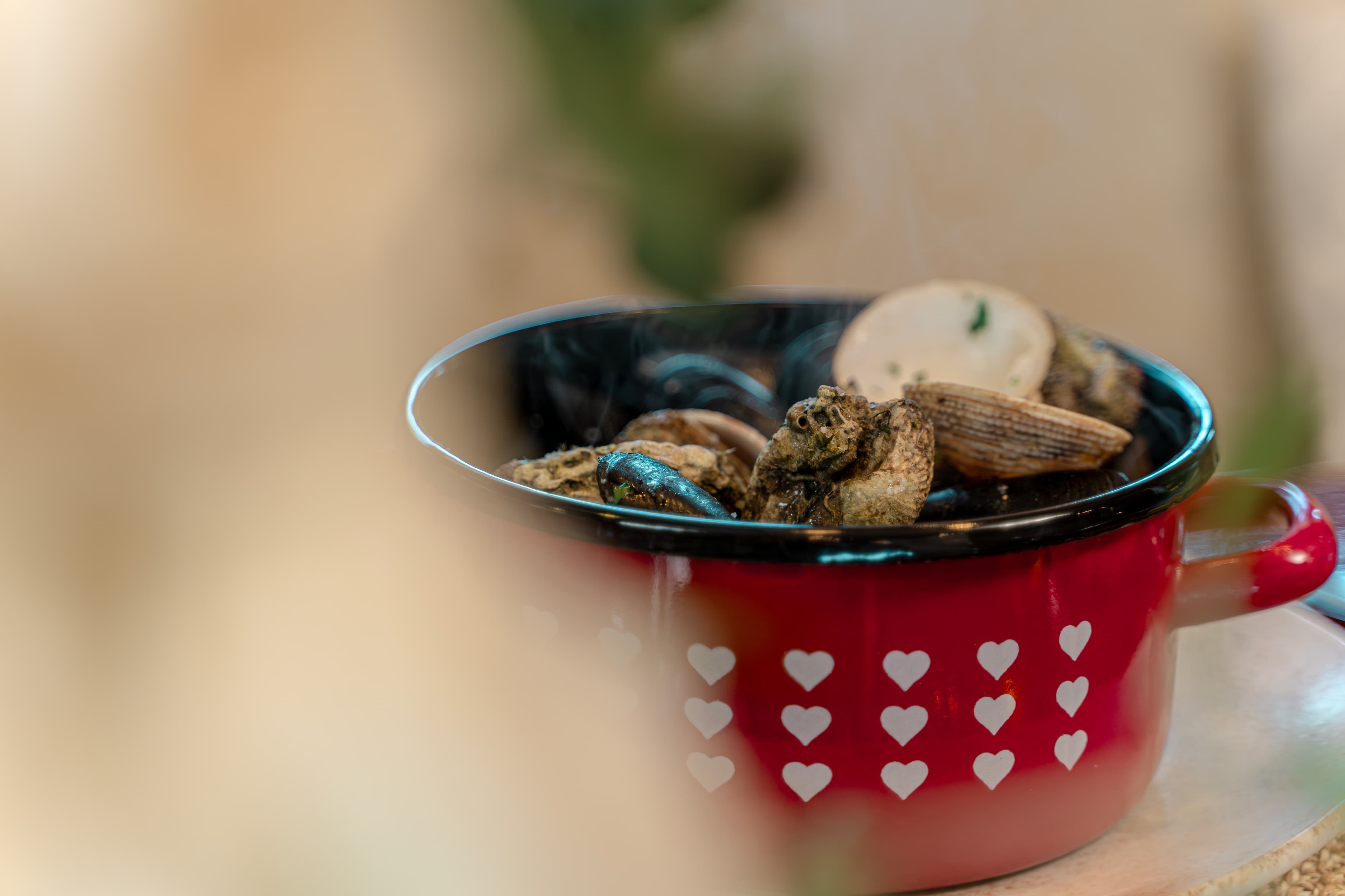 Motor sailer - photo 10