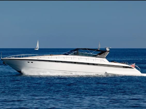 Leopard 23 - photo 9