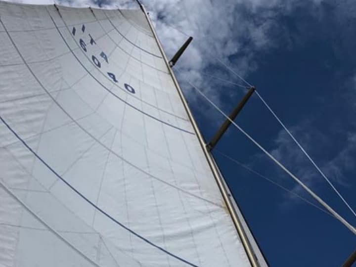 Carlini Sciarelli 62.5 - photo 18