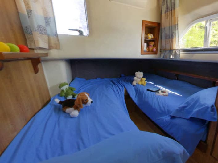 Royal Classique - photo 9