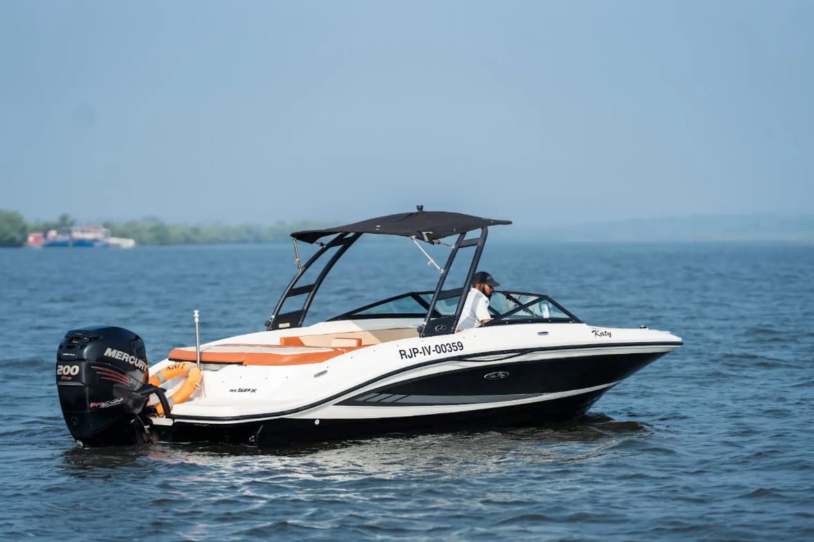 Sea Ray SPX 210 - photo 4