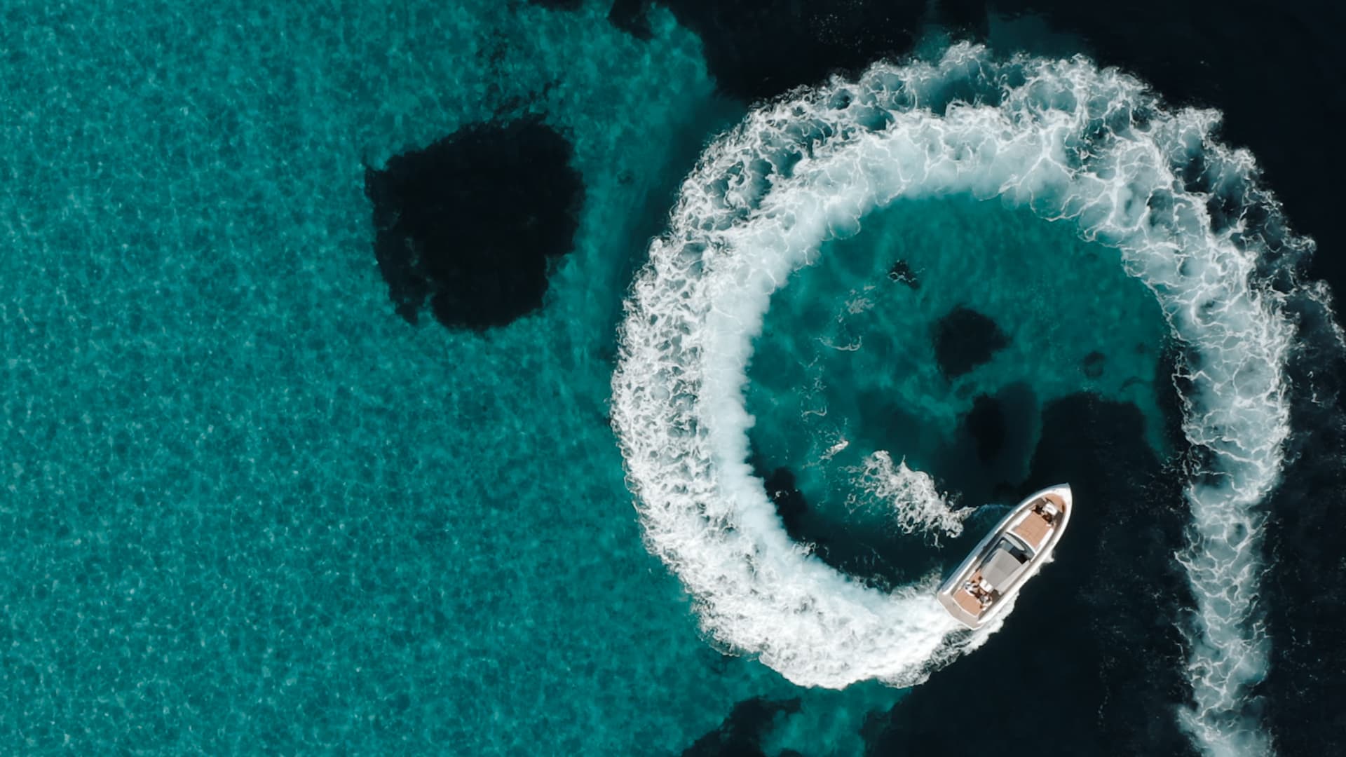 Vanquish 43 - photo 10