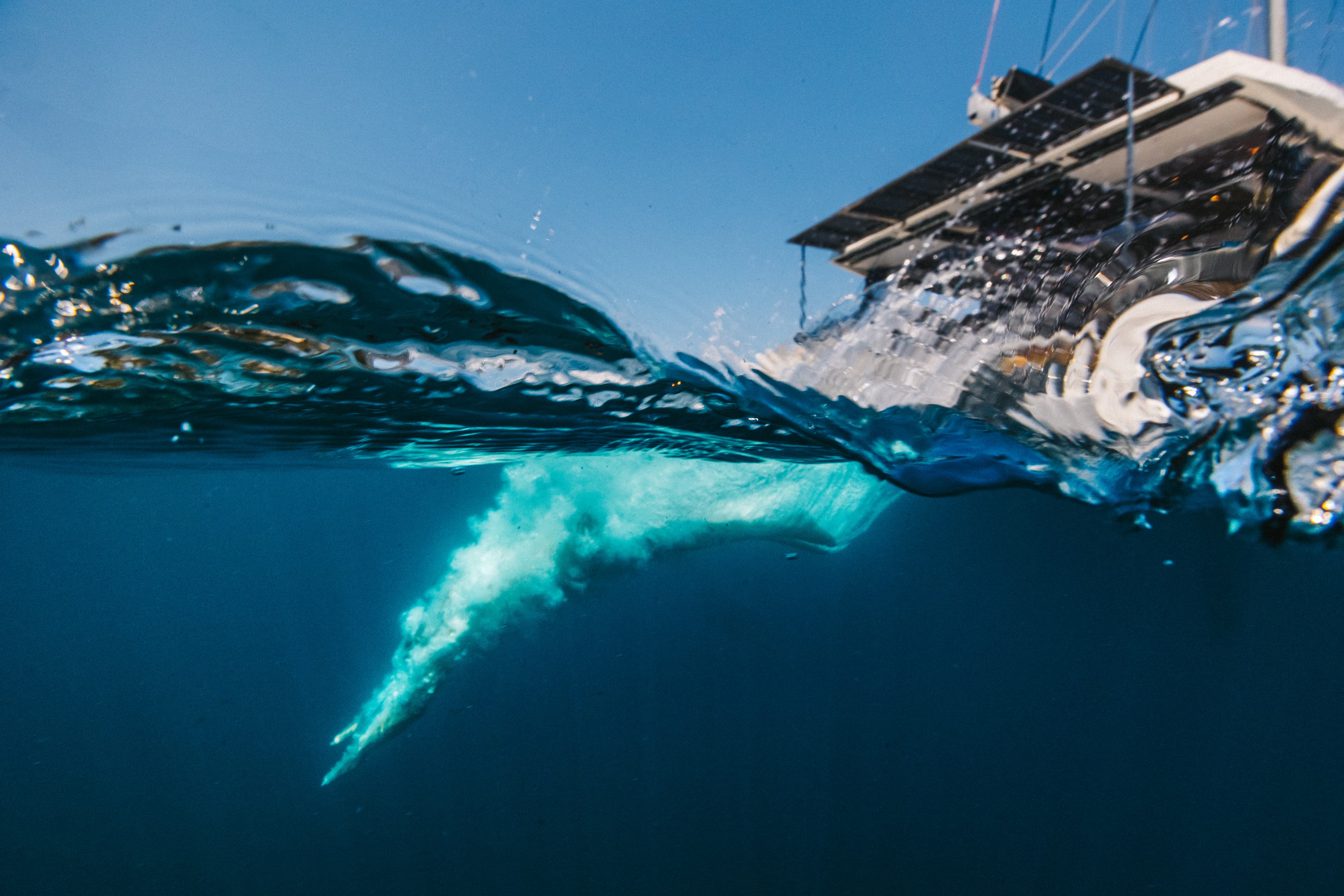 Windelo 54 - photo 54