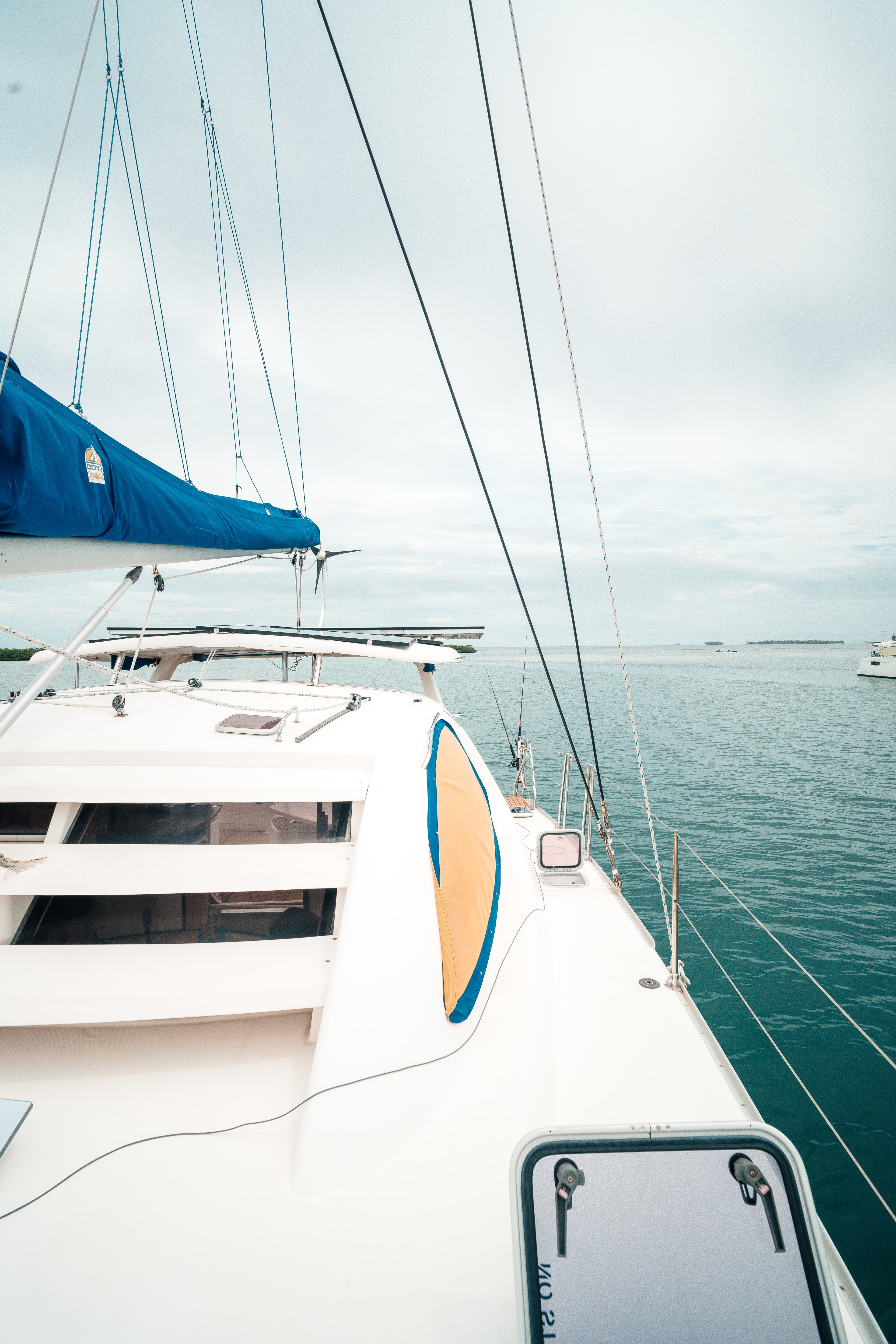 Leopard 40 - photo 23