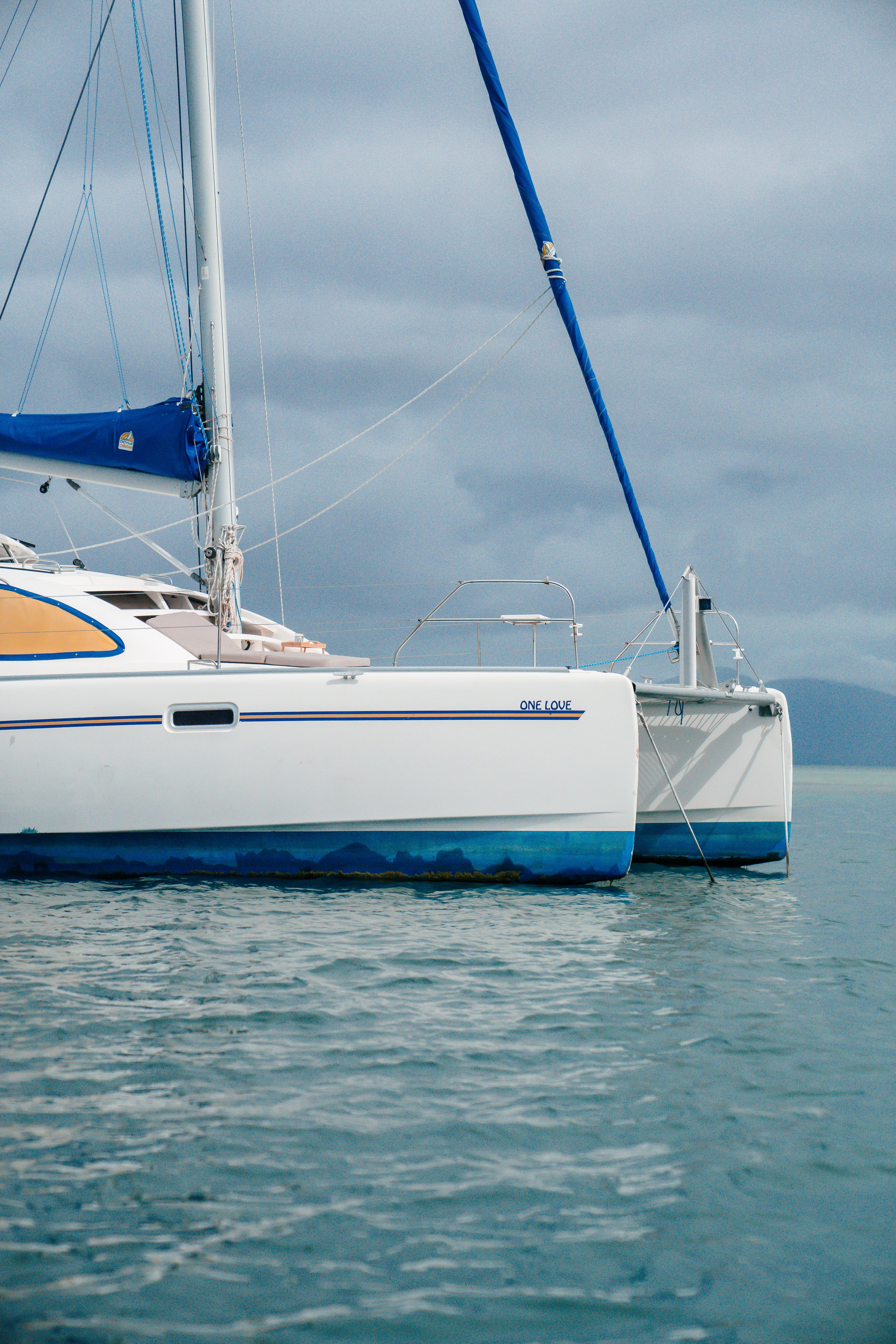 Leopard 40 - photo 32