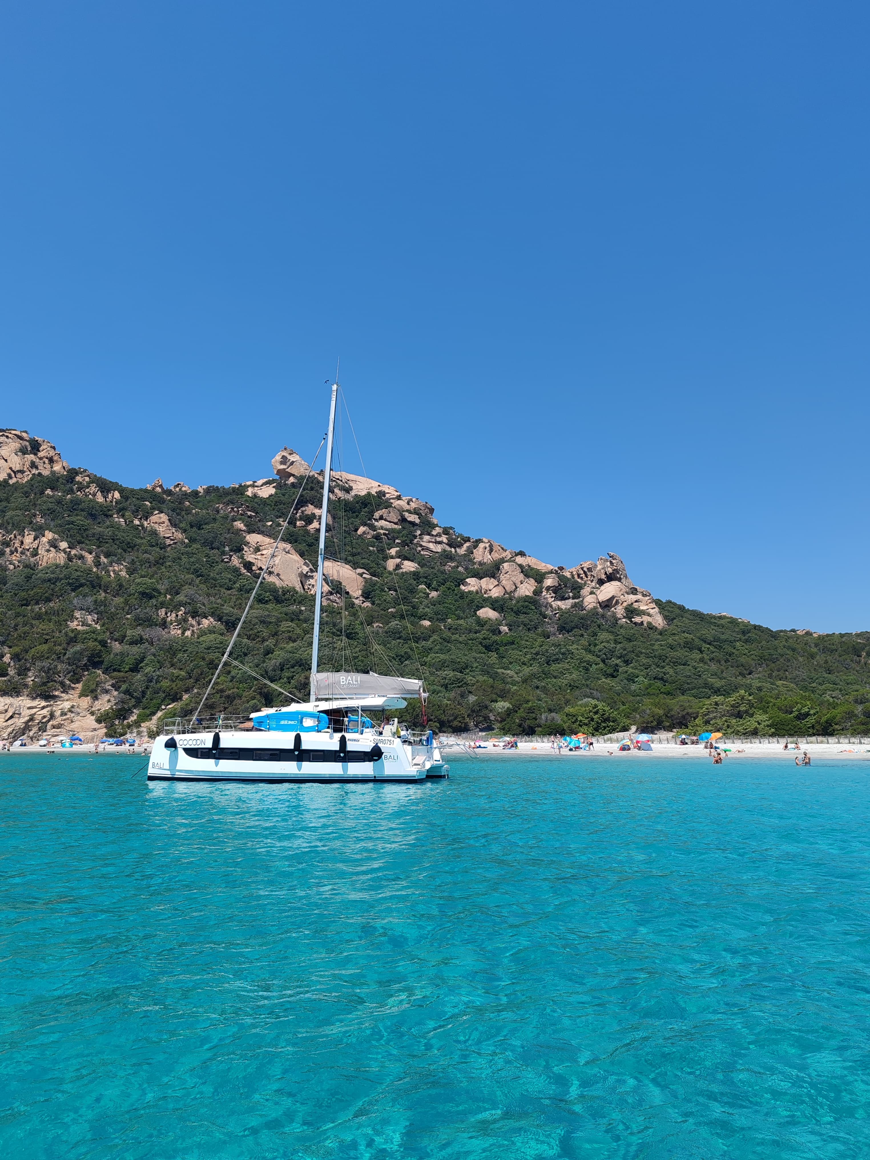 Bali Catsmart - photo 17