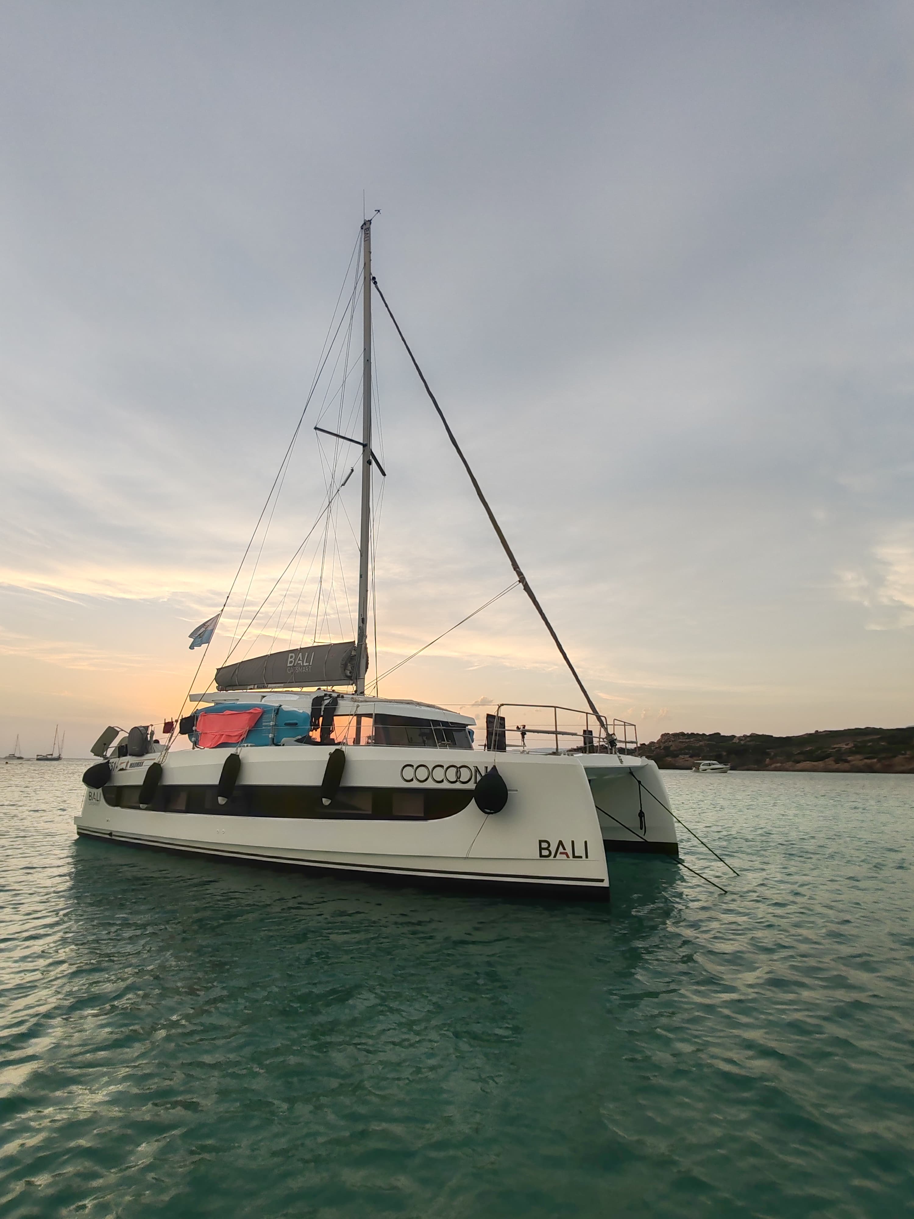 Bali Catsmart - photo 29