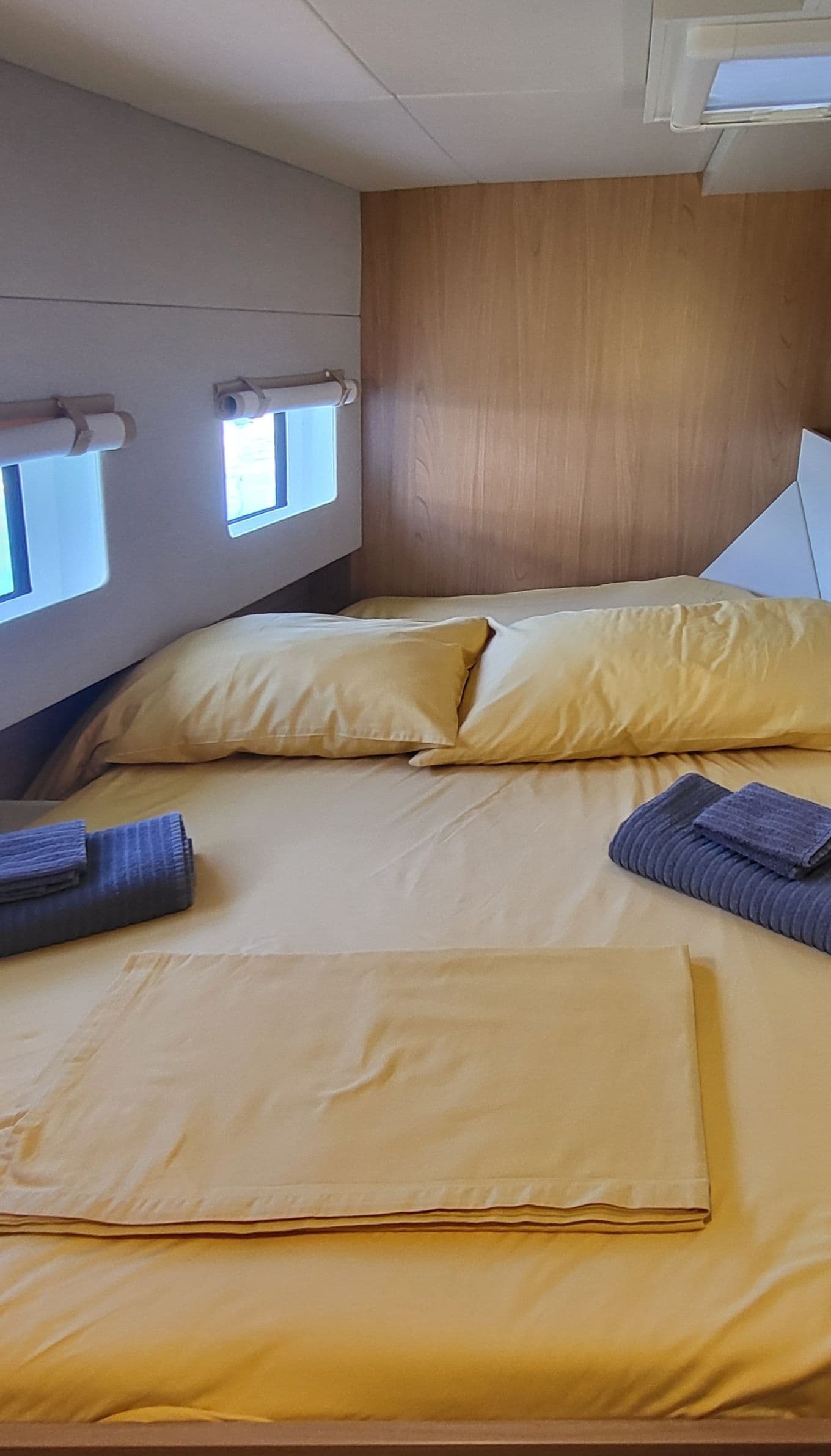 Bali Catsmart - photo 12