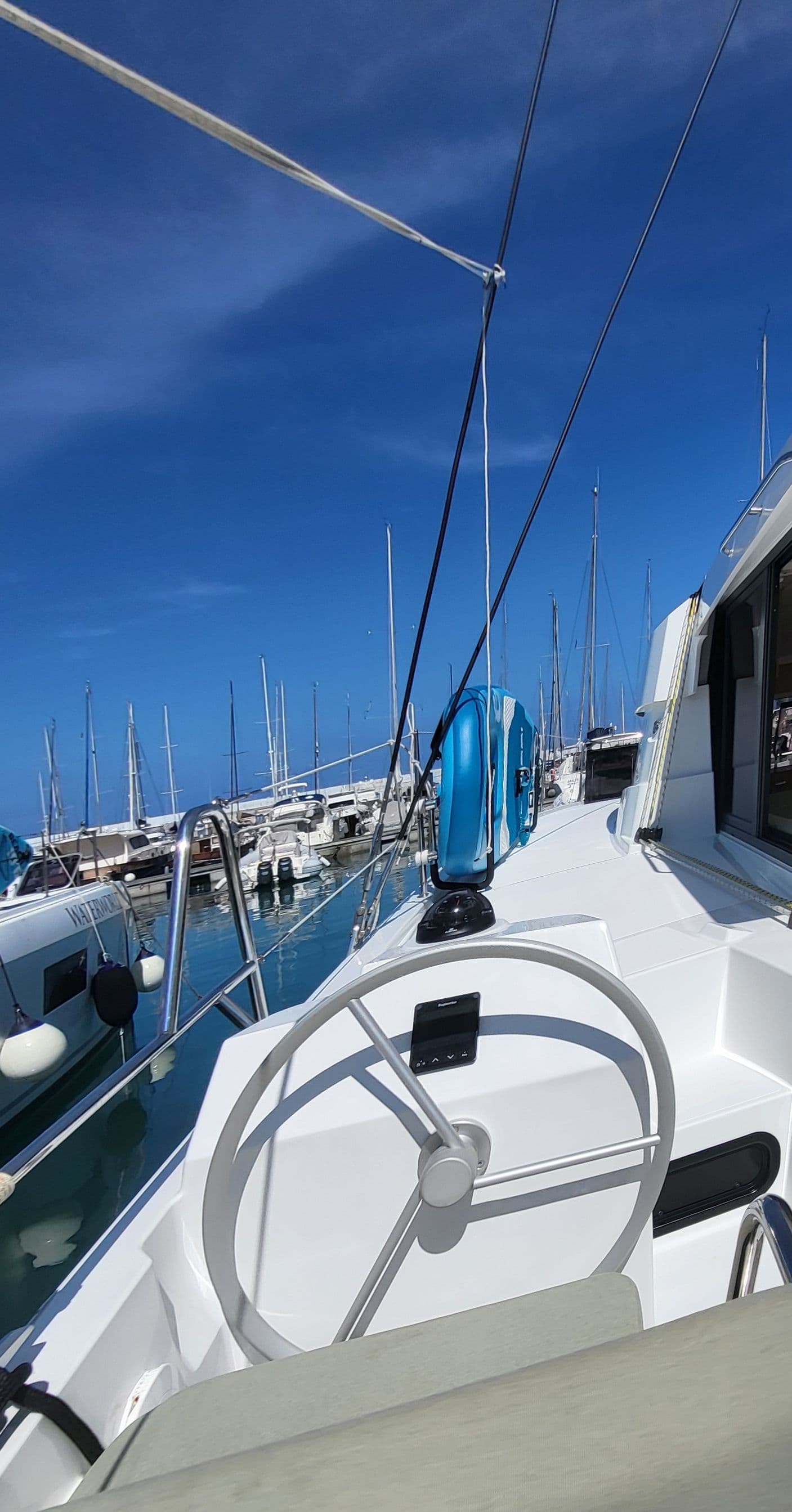 Bali Catsmart - photo 14