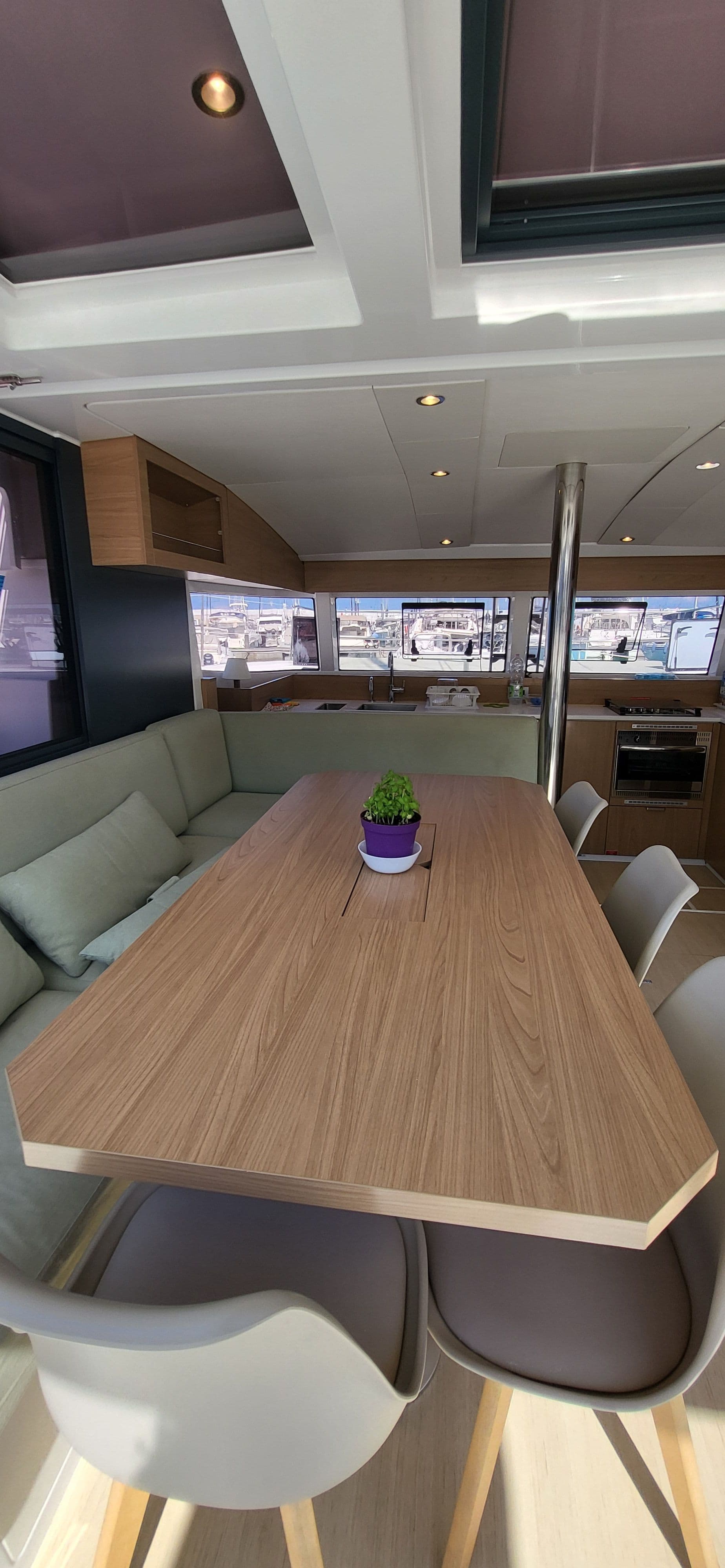 Bali Catsmart - photo 4