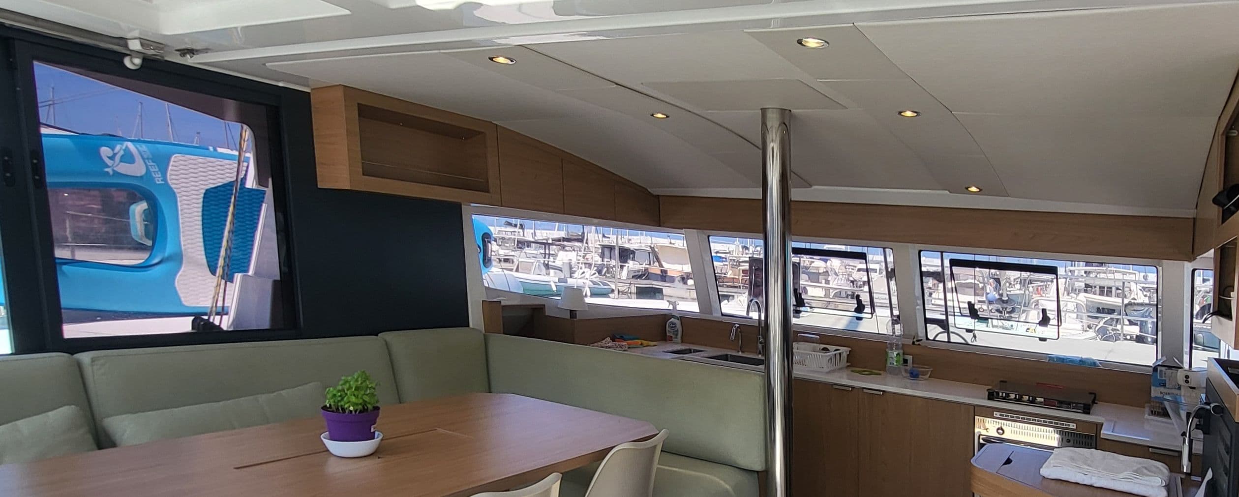 Bali Catsmart - photo 23