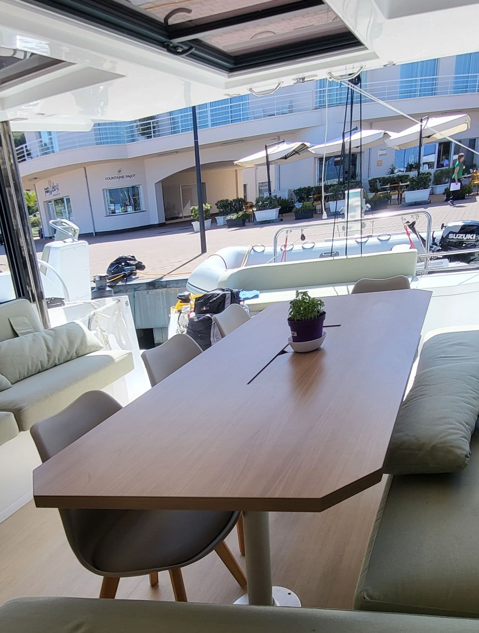 Bali Catsmart - photo 15