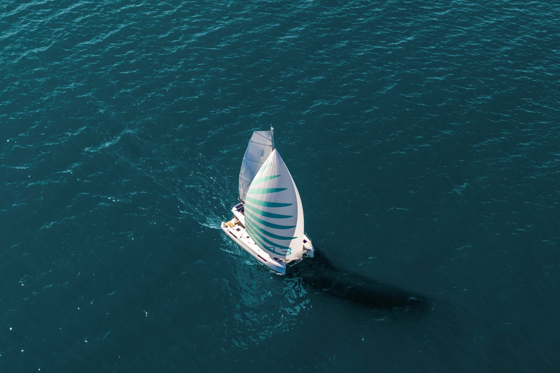 Lagoon 43 - photo 14