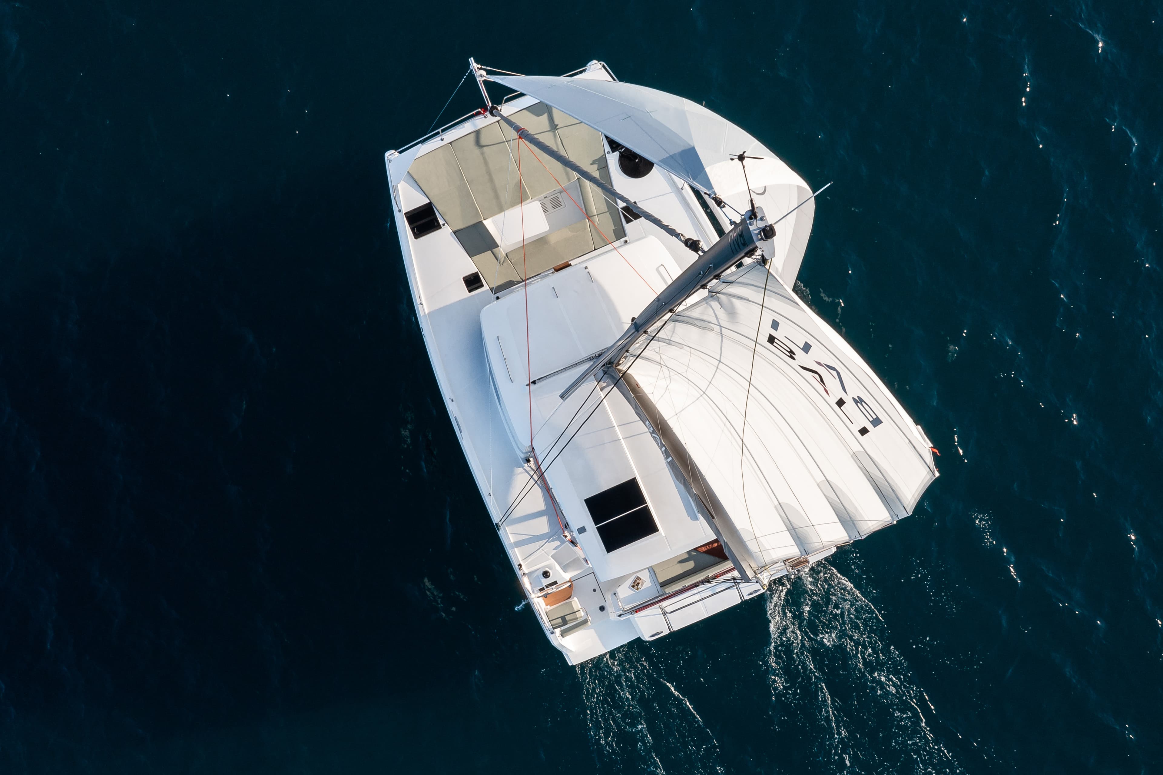 Bali Catsmart - photo 10