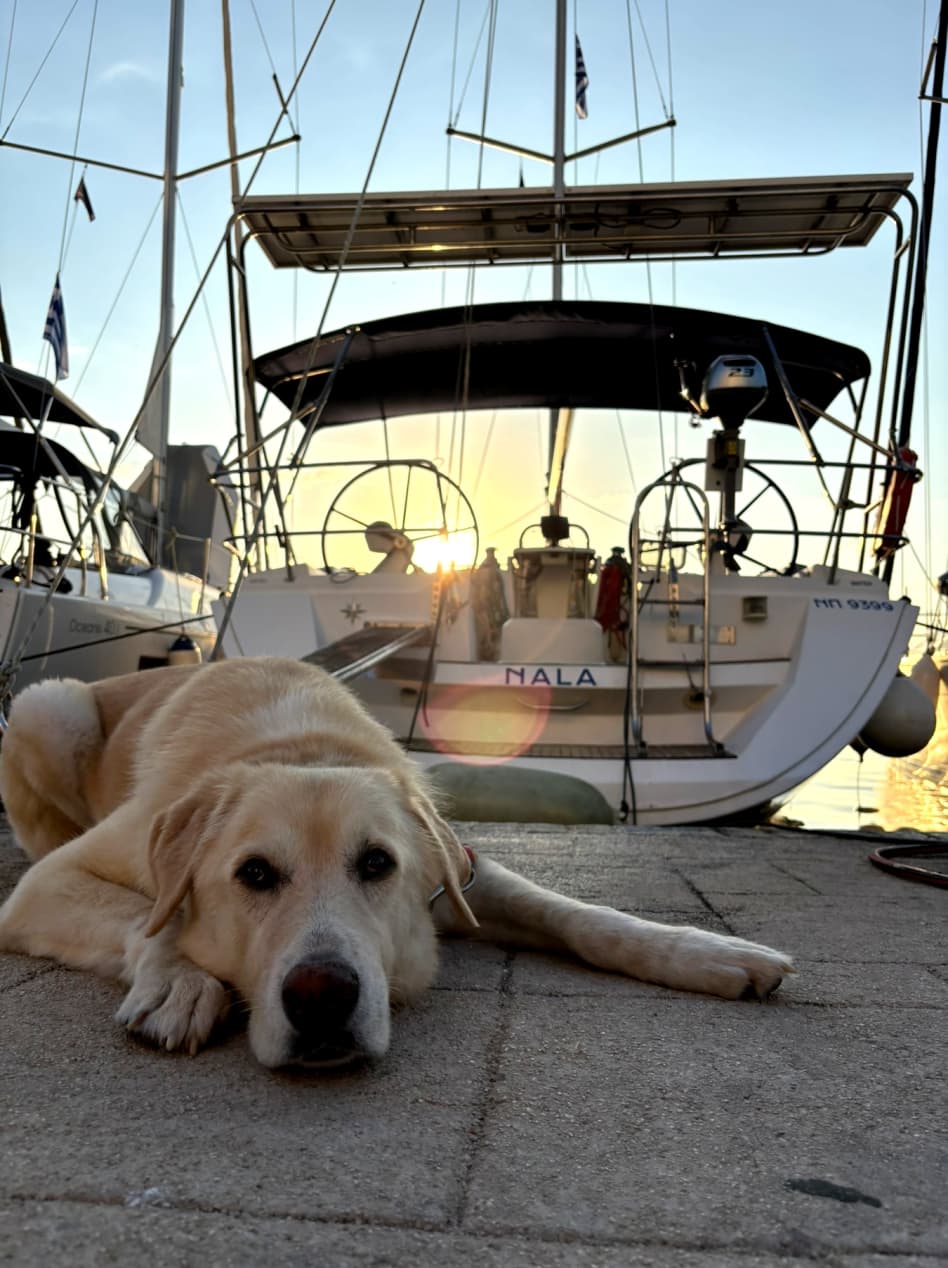 Sun Odyssey 45 - photo 4