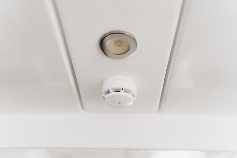 Bali Catspace - photo 41