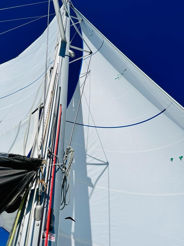 Lagoon 450 Sport - photo 11