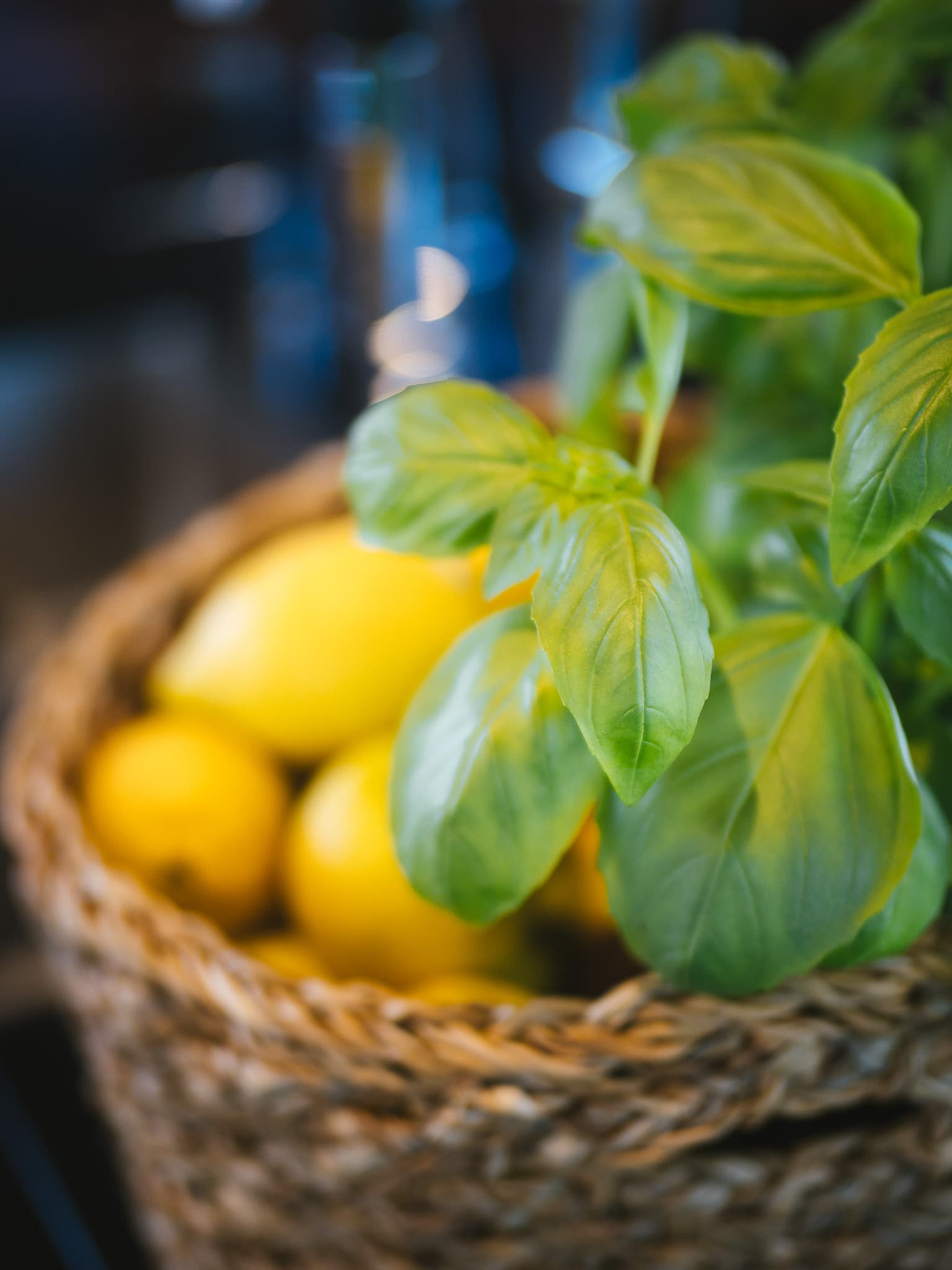 Sunreef 60 - photo 72