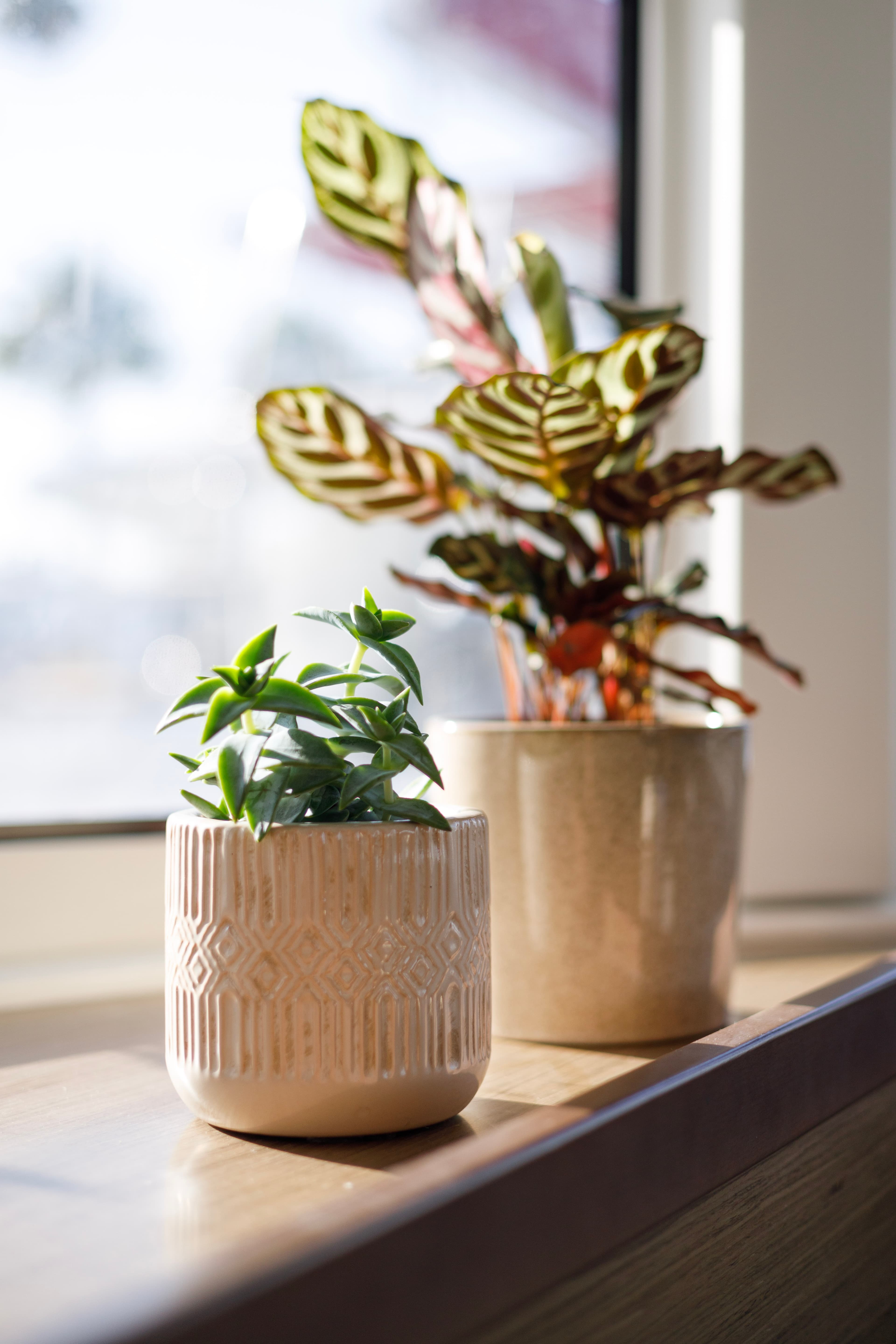 Lagoon 42 - photo 13