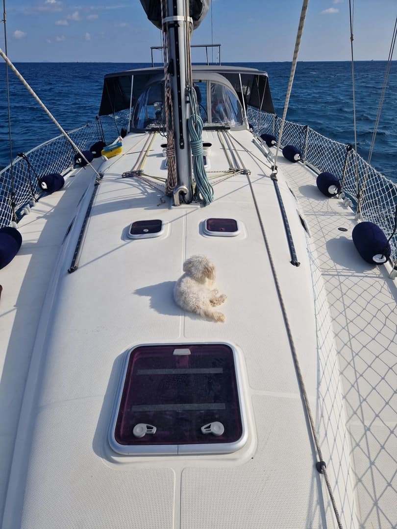 Family Sailing cruise in the Caribbean - boat photo